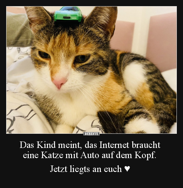 Das Kind meint, das Internet braucht eine Katze.. - Lustige Bilder | DEBESTE.de