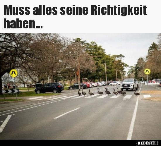 Muss alles seine Richtigkeit haben...