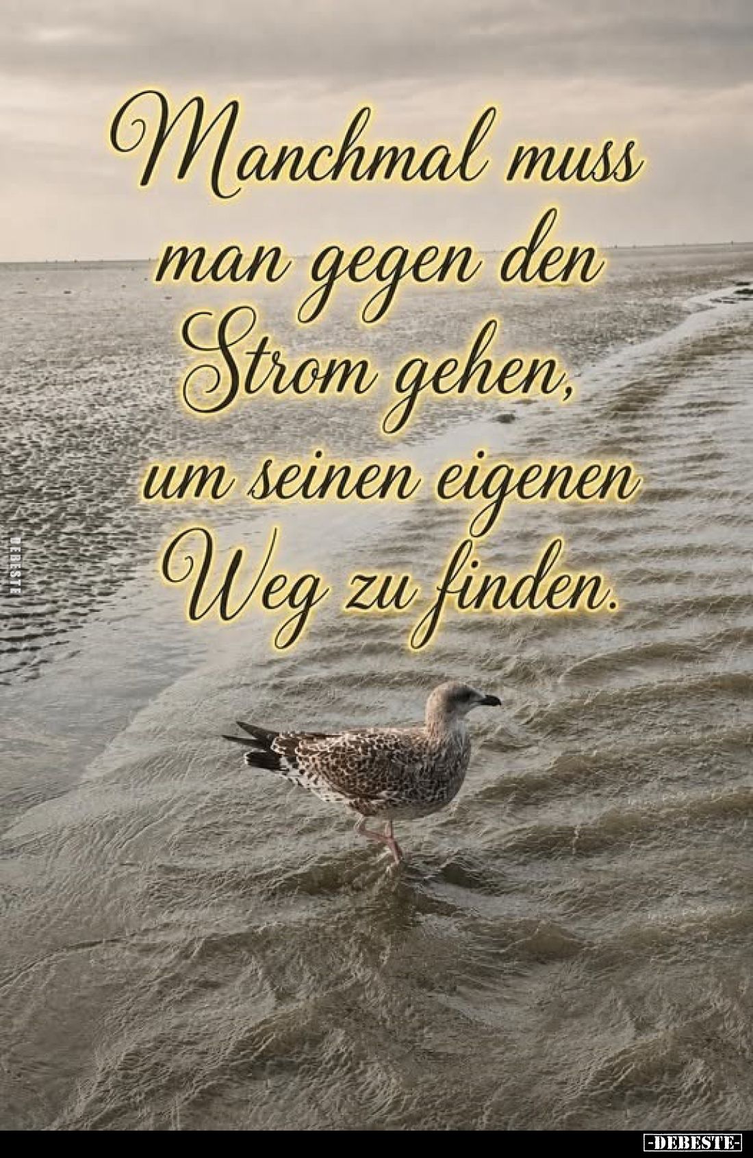 Manchmal muss man gegen den Strom gehen, um seinen eigenen Weg zu finden.