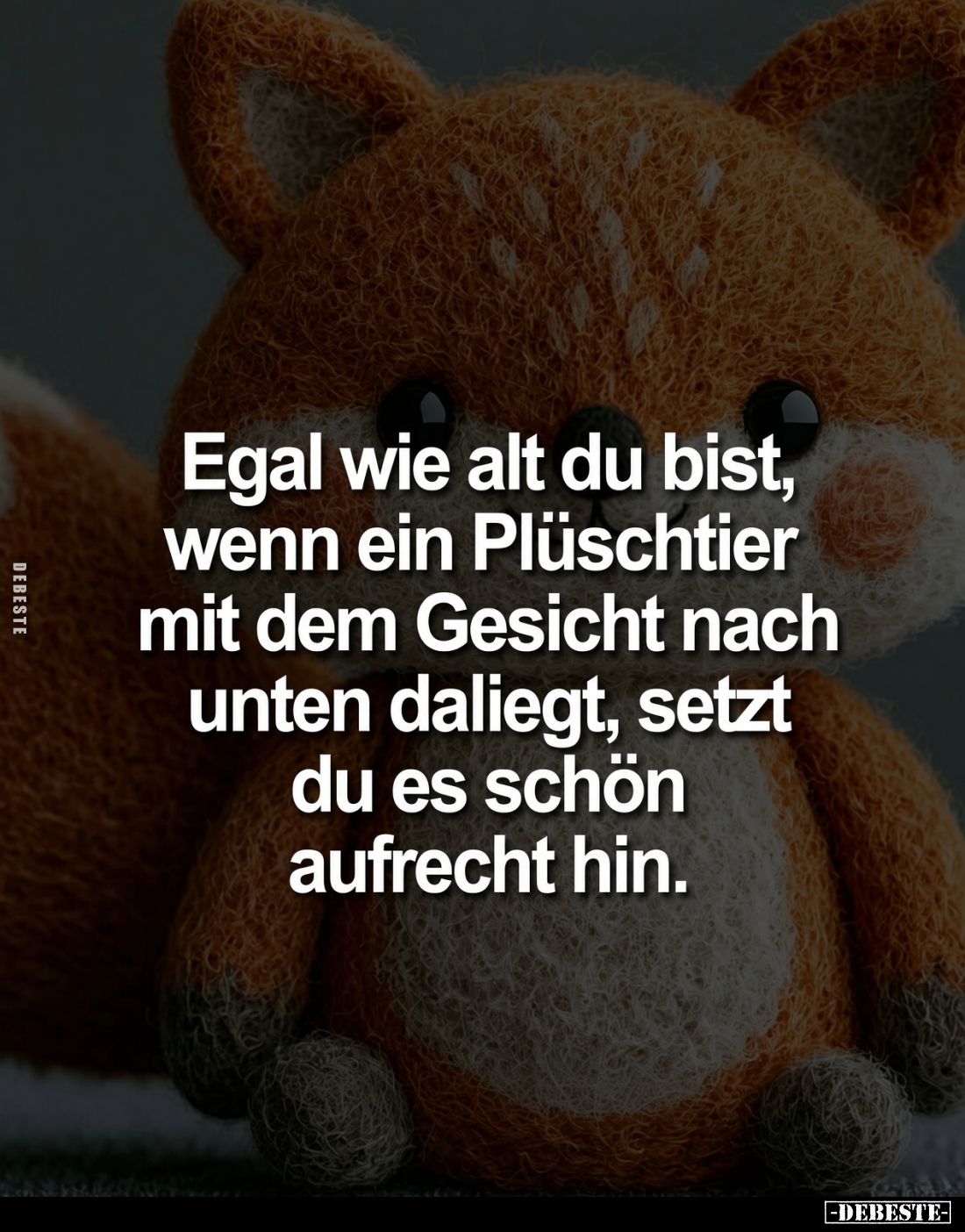 Egal wie alt du bist, wenn ein Plüschtier mit dem Gesicht nach unten daliegt, setzt du es schön aufrecht hin.