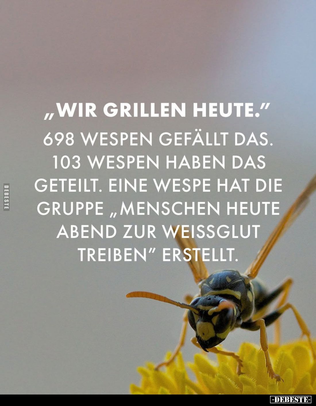 „Wir grillen heute."
698 Wespen gefällt das.
103 Wespen haben das geteilt. Eine Wespe hat die Gruppe „Menschen heute A...