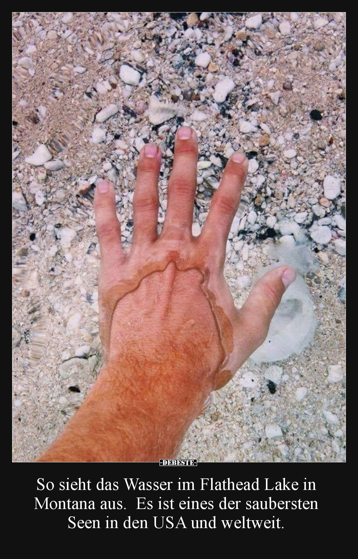 So sieht das Wasser im Flathead Lake in Montana aus. Es ist eines der saubersten Seen in den USA und weltweit.