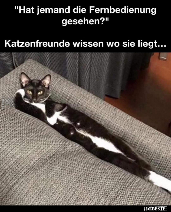 "Hat jemand die Fernbedienung gesehen?".. - Lustige Bilder | DEBESTE.de