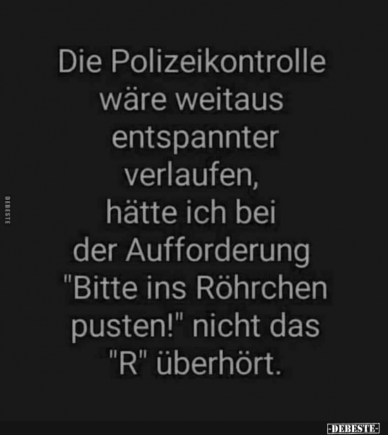 Die Polizeikontrolle wäre weitaus entspannter.. - Lustige Bilder | DEBESTE.de