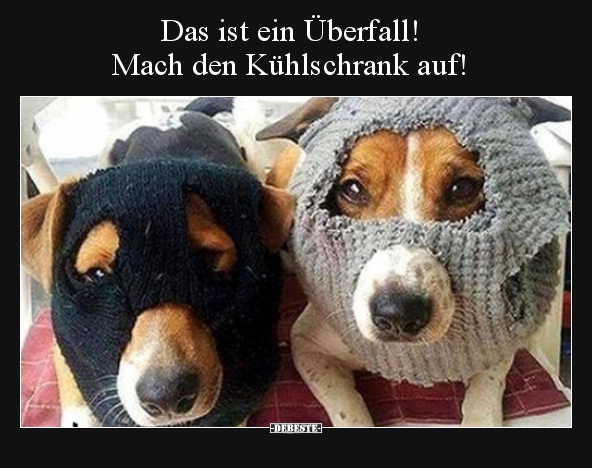 Das ist ein Überfall! Mach den Kühlschrank auf!..