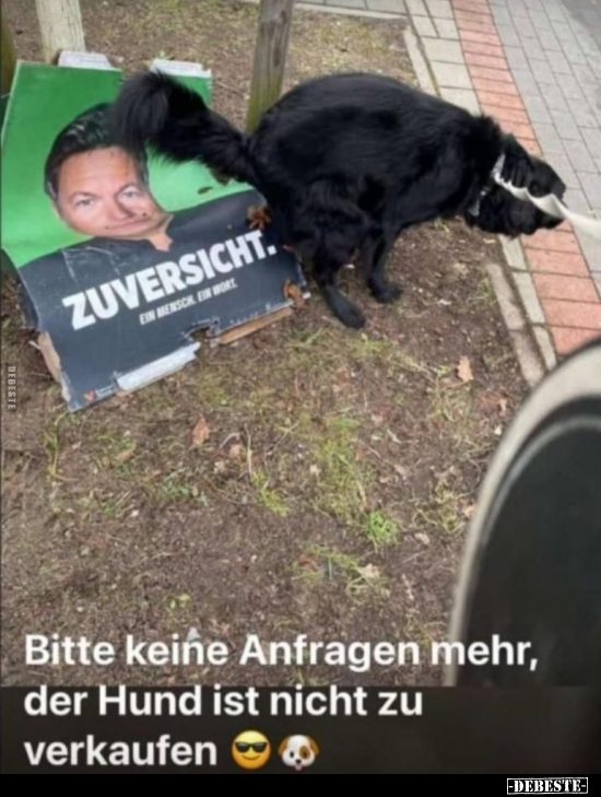 Bitte, Hund