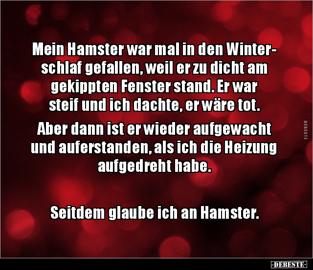 Mein Hamster war mal in den Winterschlaf gefallen, weil.. - Lustige Bilder | DEBESTE.de