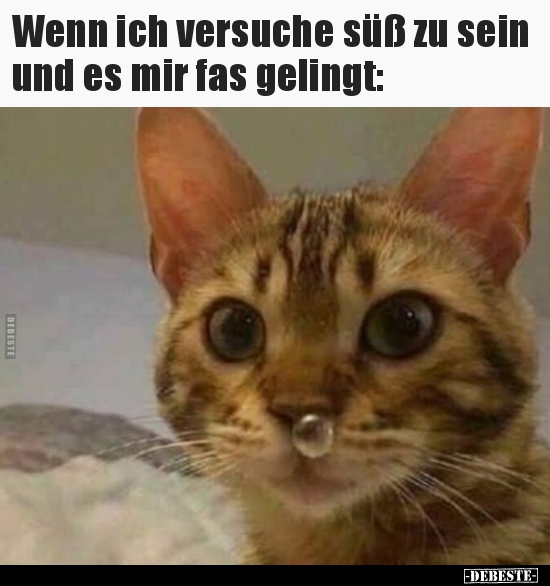 Wenn ich versuche süß zu sein und es mir fas gelingt..