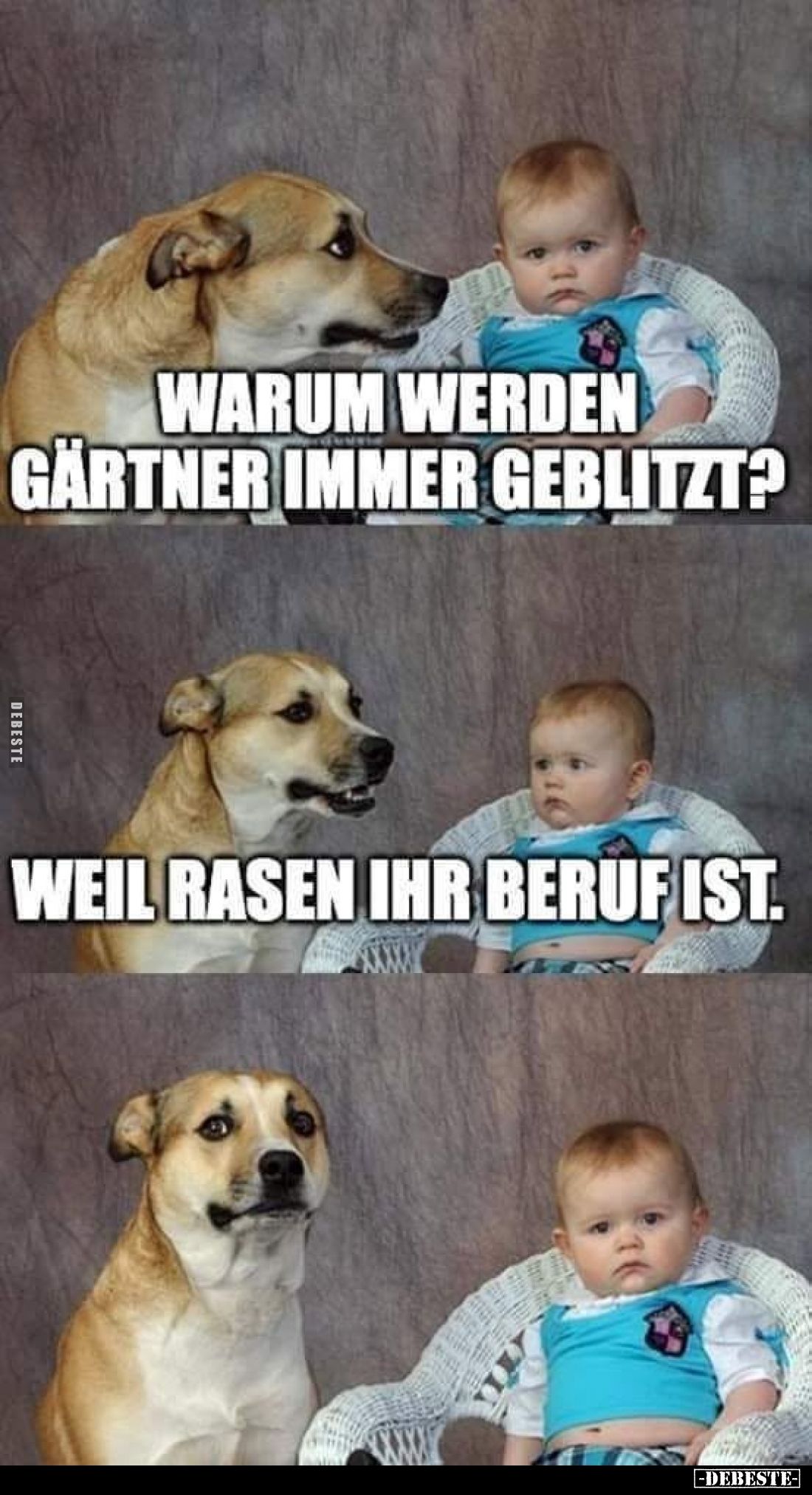 Warum werden Gärtner immer geblitzt?
Weil Rasen ihr Beruf ist.