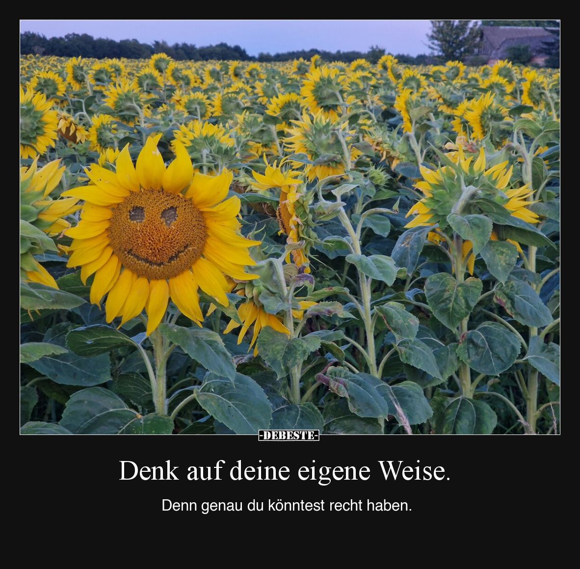 Denk auf deine eigene Weise.

Denn genau du könntest recht haben.