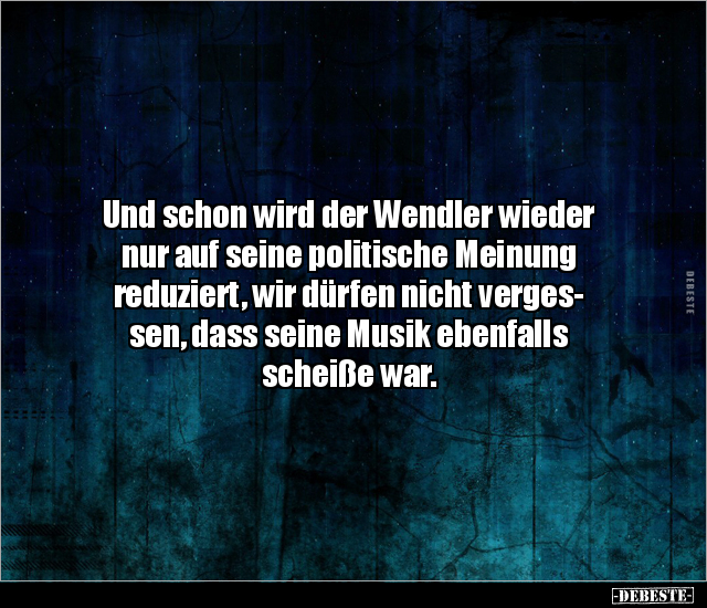 Und schon wird der Wendler wieder nur auf seine politische.. - Lustige Bilder | DEBESTE.de