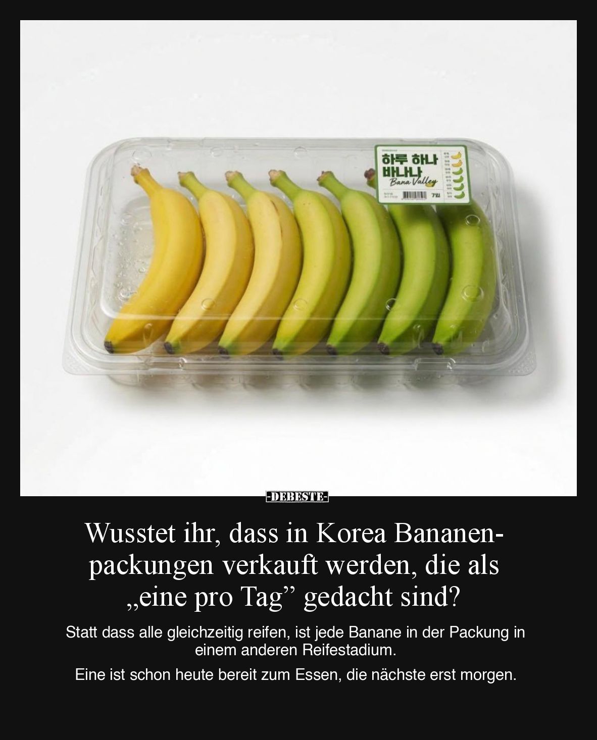 Wusstet ihr, dass in Korea Bananenpackungen verkauft werden, die als „eine pro Tag” gedacht sind?

Statt dass alle gleichze...