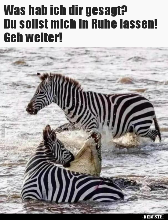 Was hab ich dir gesagt?
Du sollst mich in Ruhe lassen!
Geh weiter!