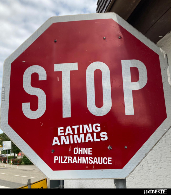  - Lustige Bilder | DEBESTE.de