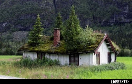  - Lustige Bilder | DEBESTE.de