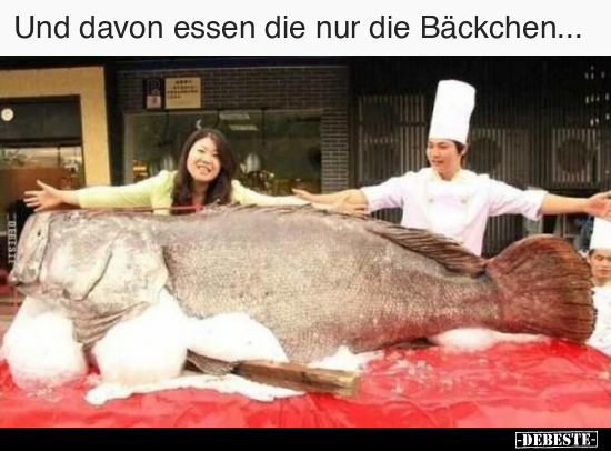 Und davon essen die nur die Bäckchen... - Lustige Bilder | DEBESTE.de