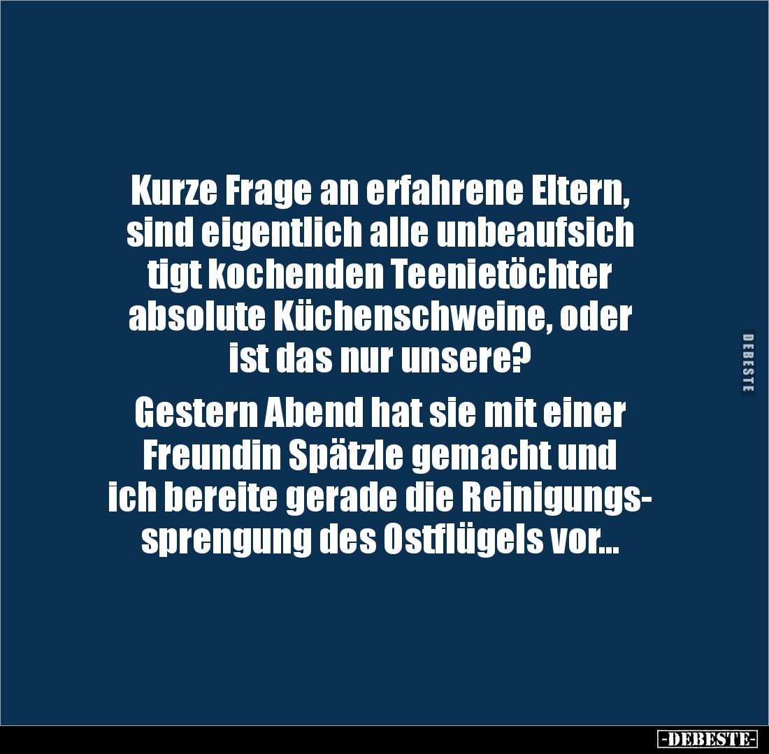 Kurze Frage an erfahrene Eltern, 
sind eigentlich alle unbeaufsich
tigt kochenden Teenietöchter 
absolute Küchenschweine, ...