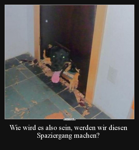 Wie wird es also sein, werden wir diesen Spaziergang.. - Lustige Bilder | DEBESTE.de