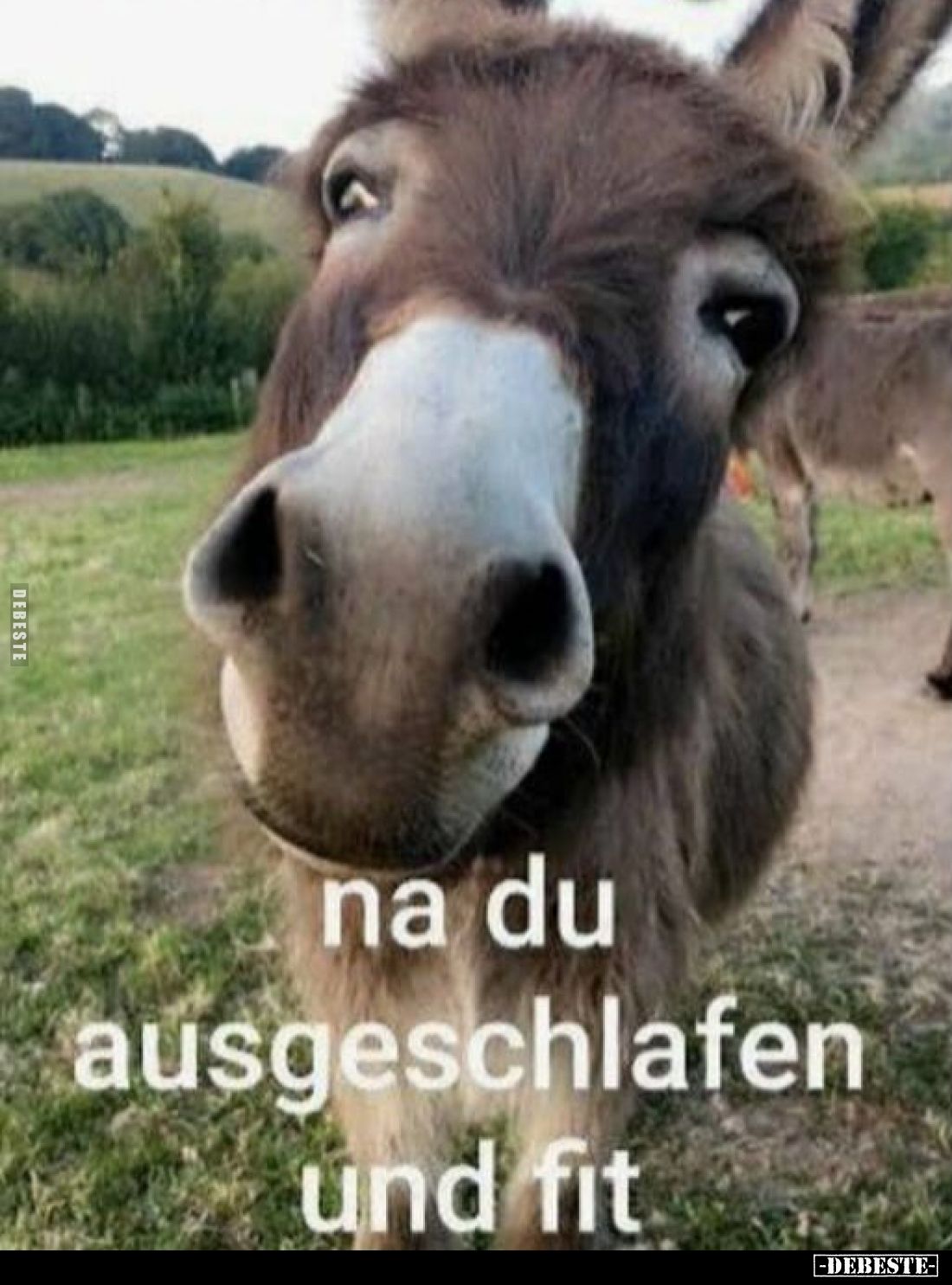 na du ausgeschlafen und fit