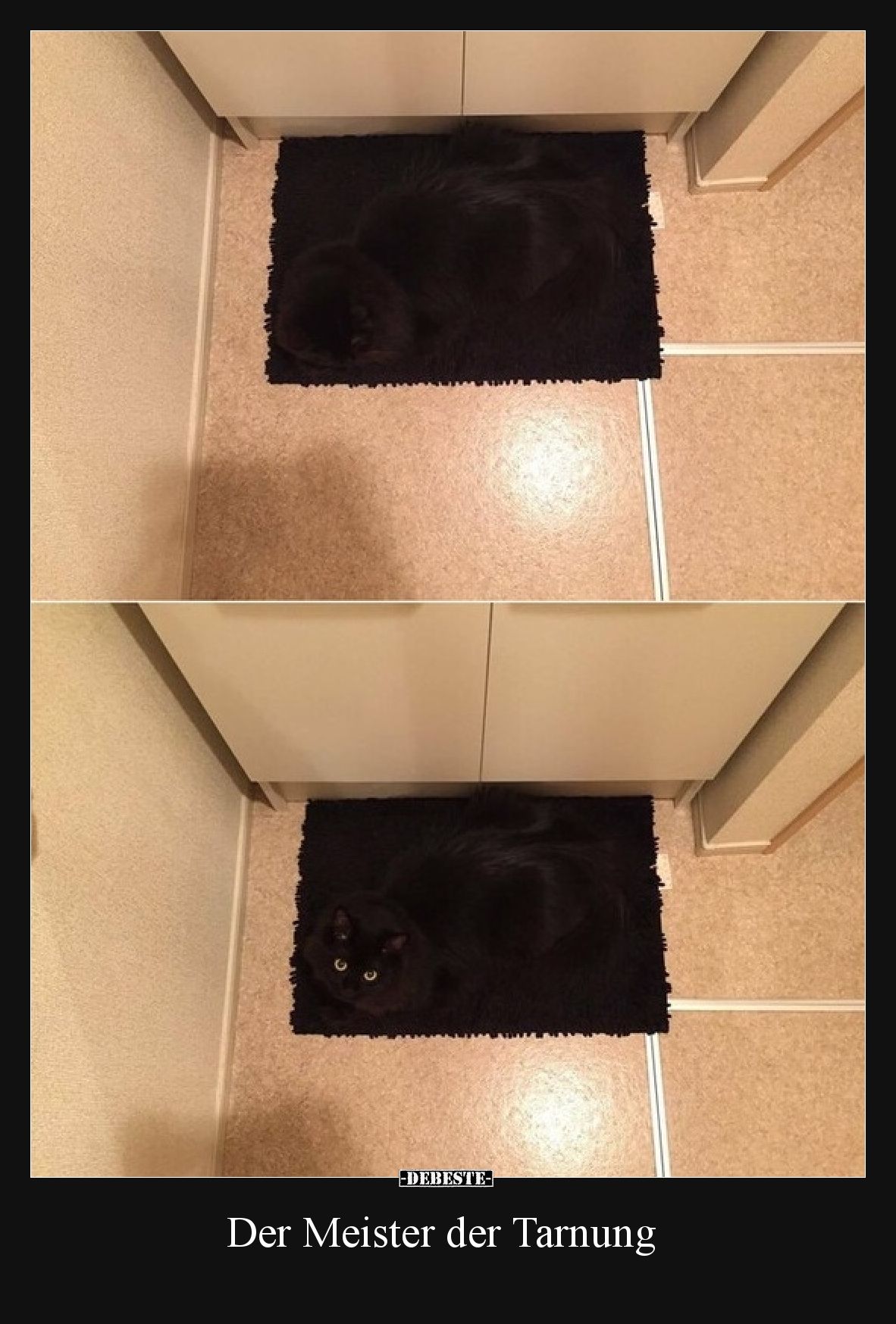 Der Meister der Tarnung