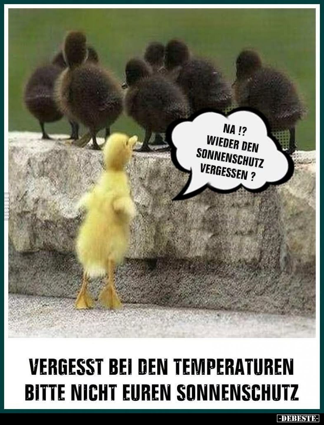 Vergesst bei den Temperaturen bitte nicht euren Sonnenschutz. - Na wieder den Sonnenschutz vergessen?