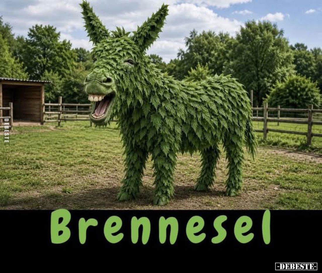 Brennesel