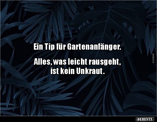 Ein Tip für Gartenanfänger. Alles, was leicht.. - Lustige Bilder | DEBESTE.de