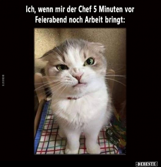 Ich, wenn mir der Chef 5 Minuten vor Feierabend noch Arbeit.. - Lustige Bilder | DEBESTE.de