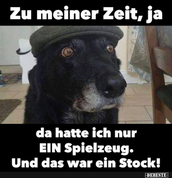 Zu meiner Zeit, ja da hatte ich nur EIN Spielzeug..