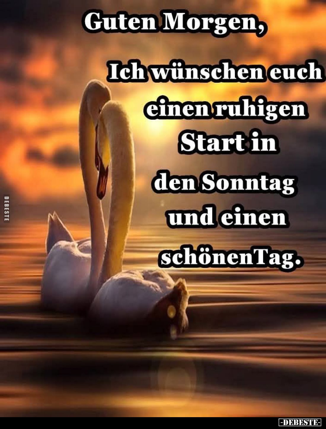 Guten Morgen,
Ich wünschen euch einen ruhigen Start in den Sonntag und einen schönen Tag.