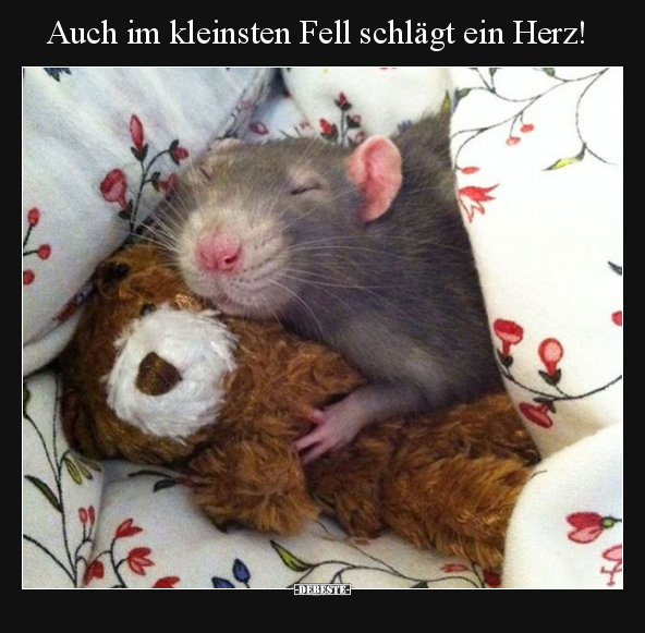 Fell, Herz