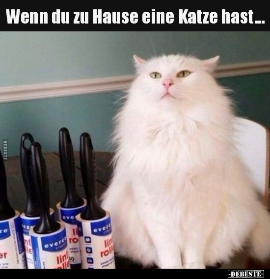 Wenn du zu Hause eine Katze hast...