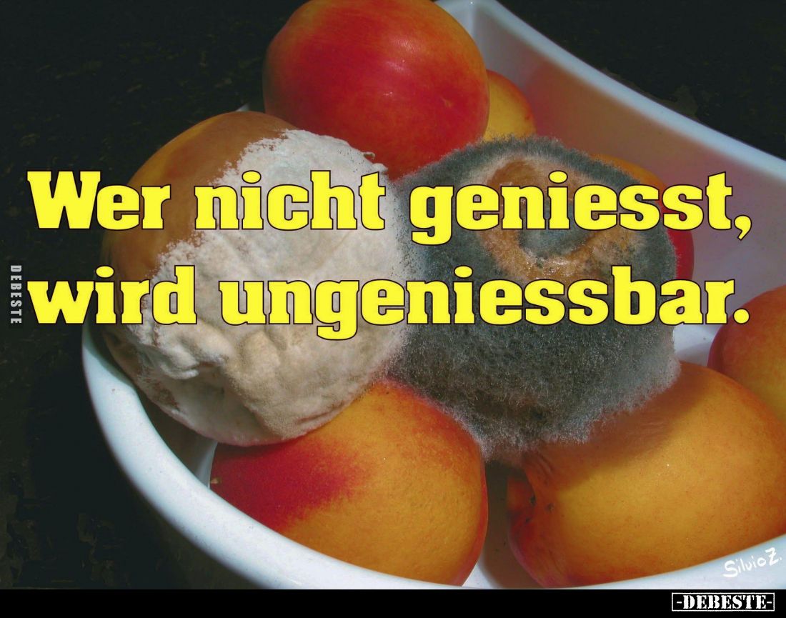 Wer nicht geniesst, wird ungeniessbar.
