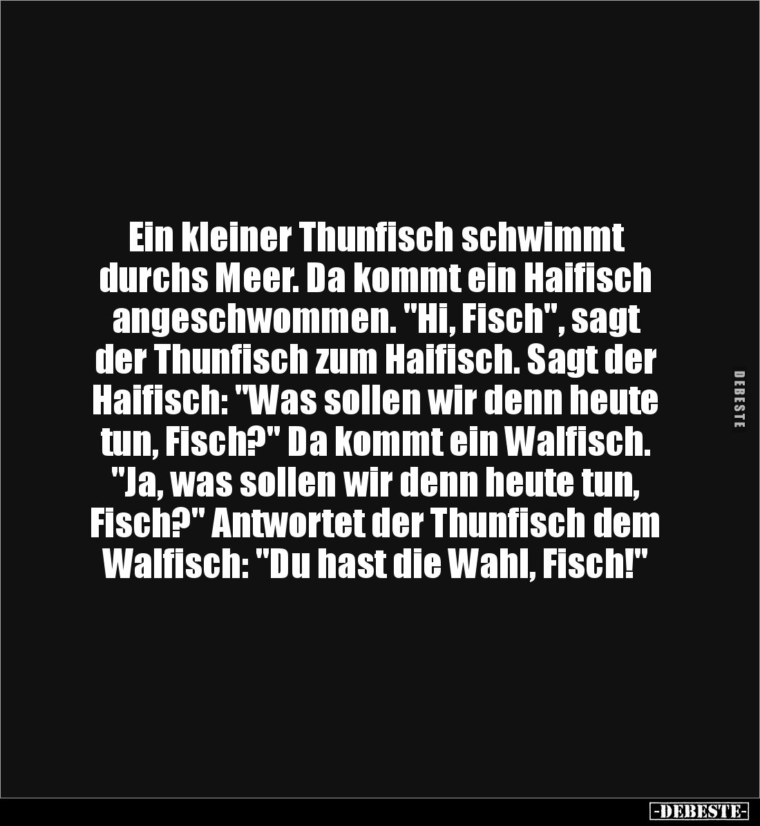 Ein kleiner Thunfisch schwimmt 
durchs Meer. Da kommt ein Haifisch angeschwommen. "Hi, Fisch", sagt der Thunfisch ...
