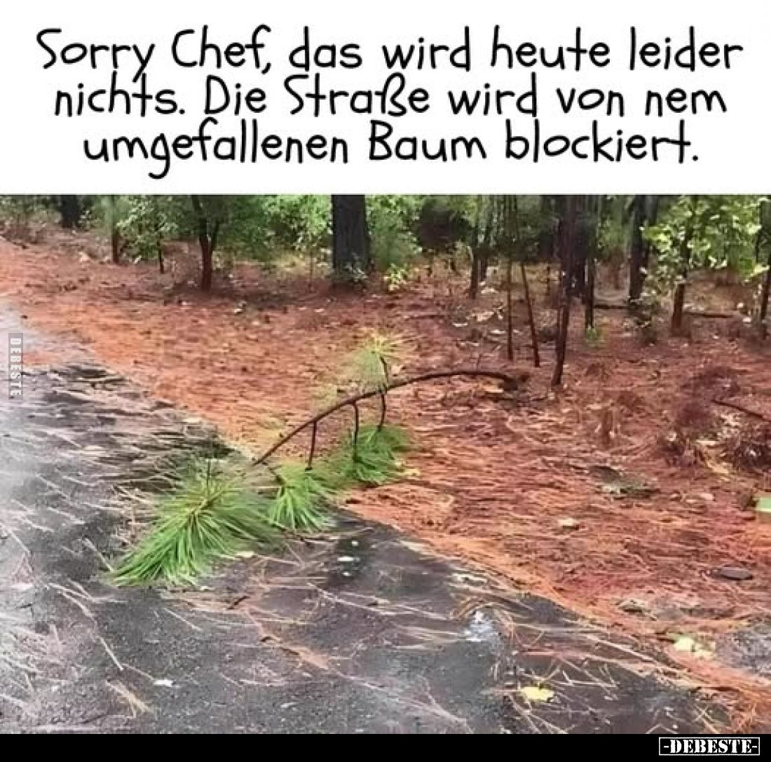Sorry Chef, das wird heute leider nichts.
Die Straße wird von nem umgefallenen Baum blockiert.