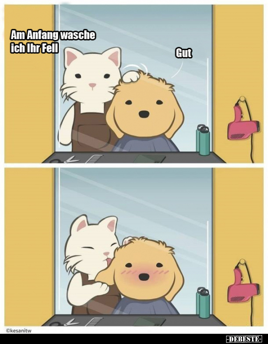 Am Anfang wasche ich Ihr Fell..