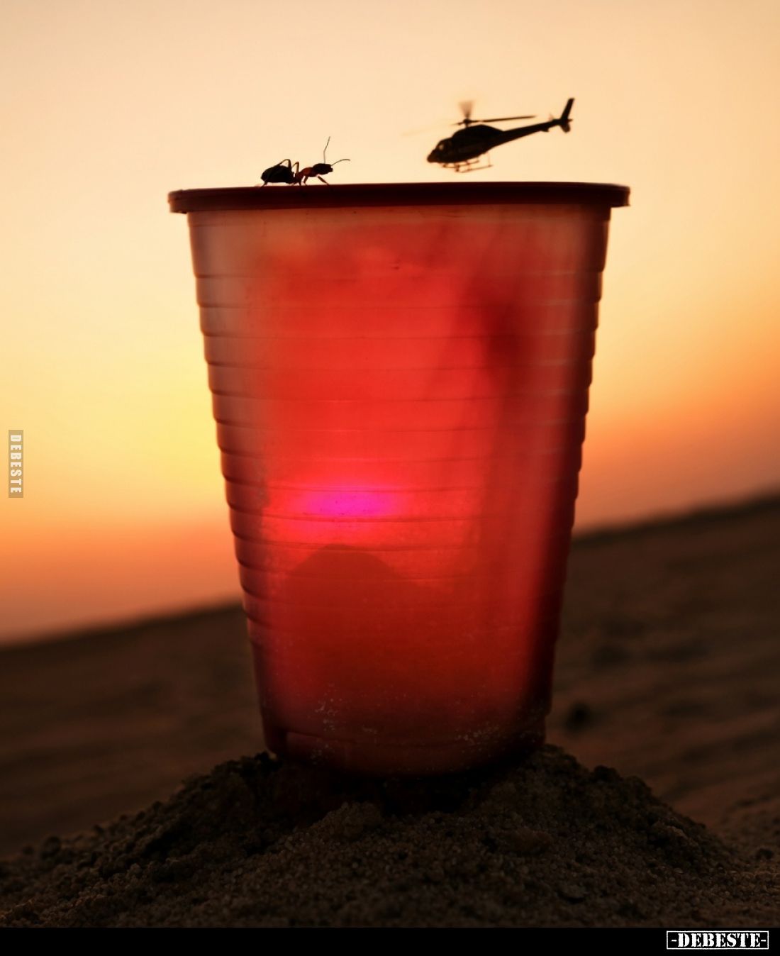  - Lustige Bilder | DEBESTE.de