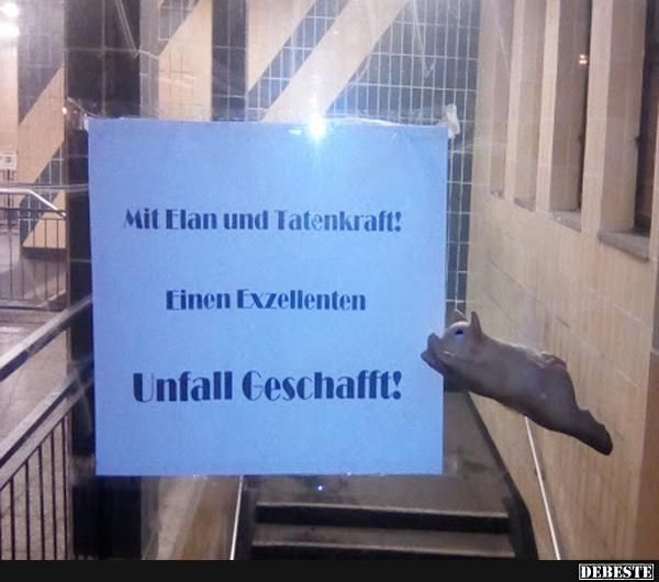 Mit Elan und Tatenkraft!