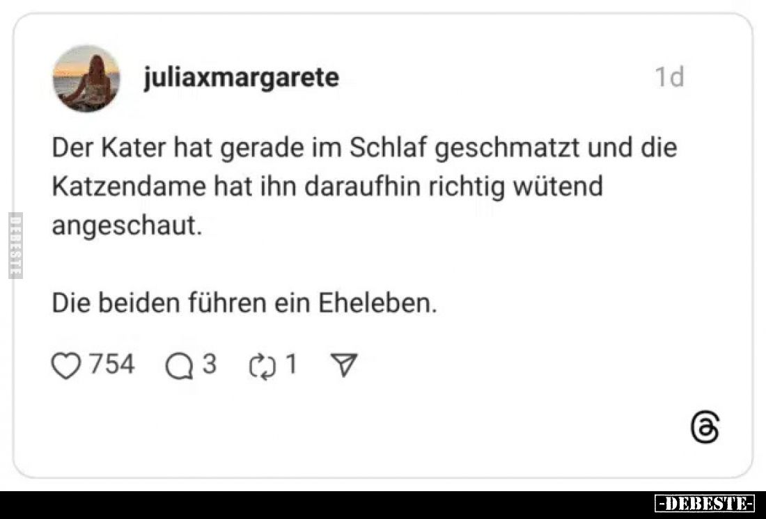 Der Kater hat gerade im Schlaf geschmatzt und die Katzendame hat ihn daraufhin richtig wütend angeschaut.
Die beiden führen ...