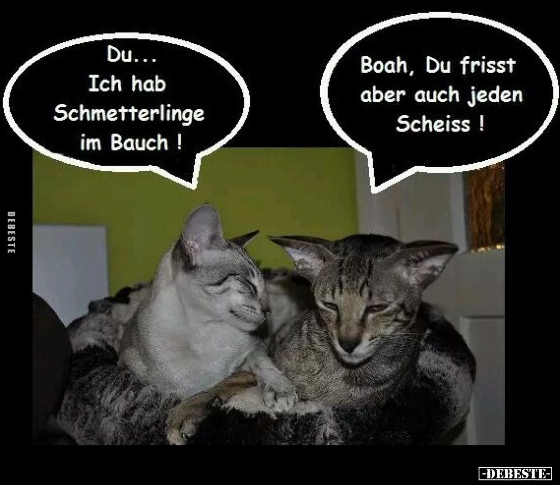 Du... Ich hab Schmetterlinge im Bauch! Boah, Du frisst aber auch jeden Scheiss!