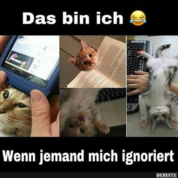 Das bin ich.. wenn jemand mich ignoriert.. - Lustige Bilder | DEBESTE.de