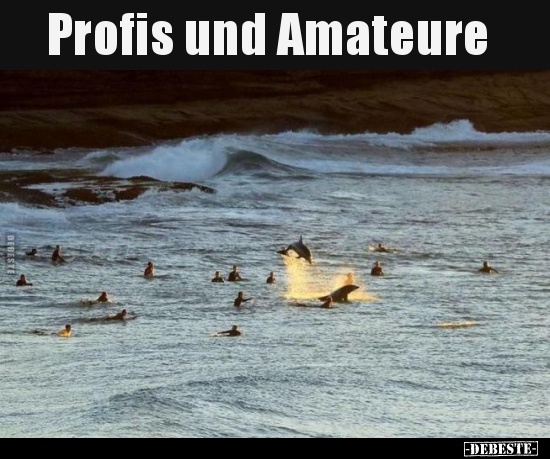 Profis und Amateure..
