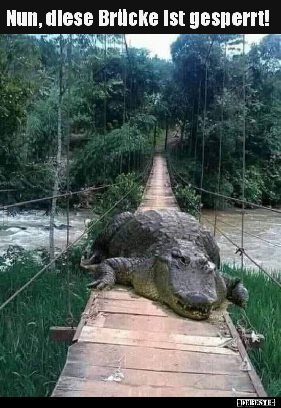 Nun, diese Brücke ist gesperrt!