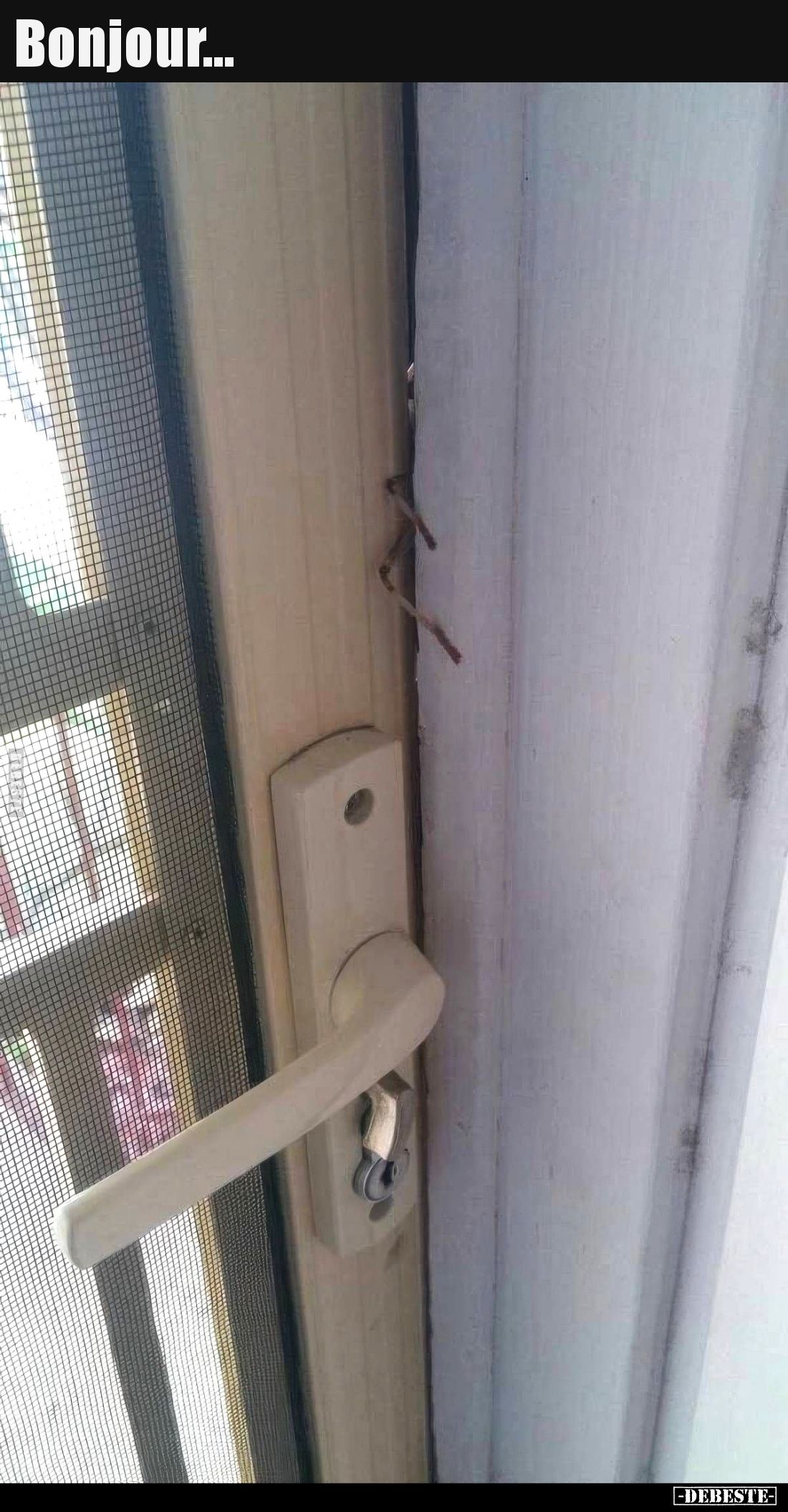 Bonjour...