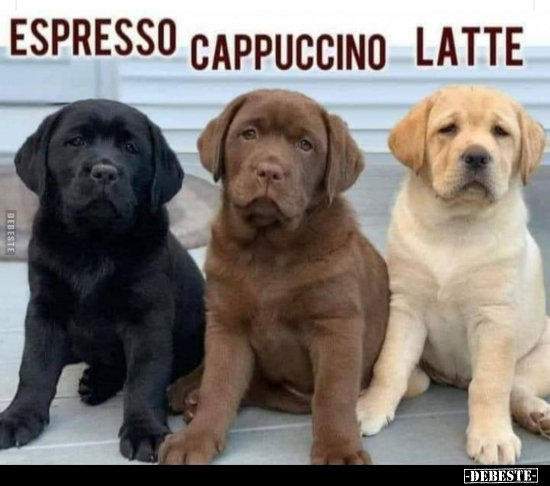 Espresso / Cappuccino / Latte.. - Lustige Bilder | DEBESTE.de