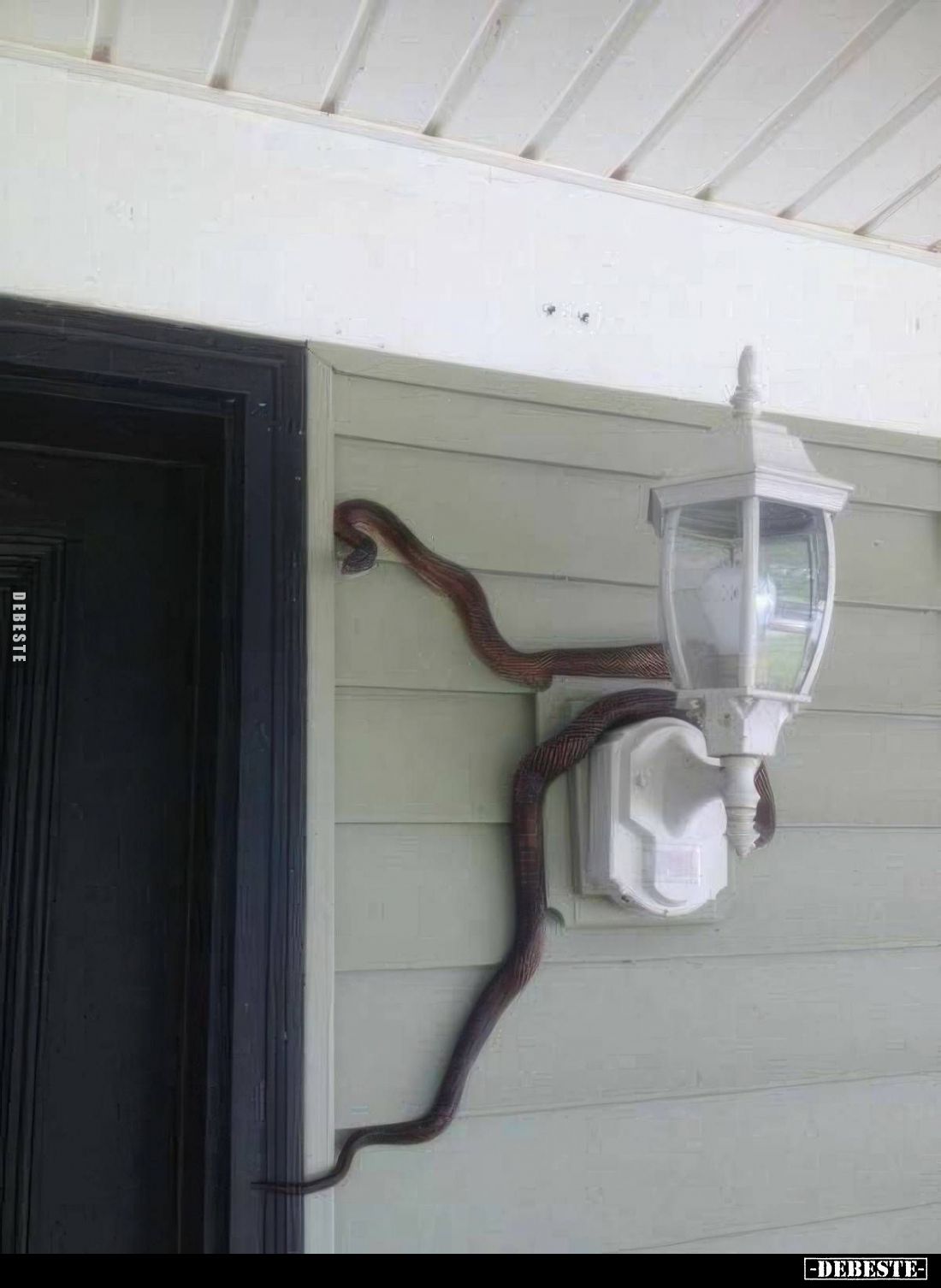  - Lustige Bilder | DEBESTE.de