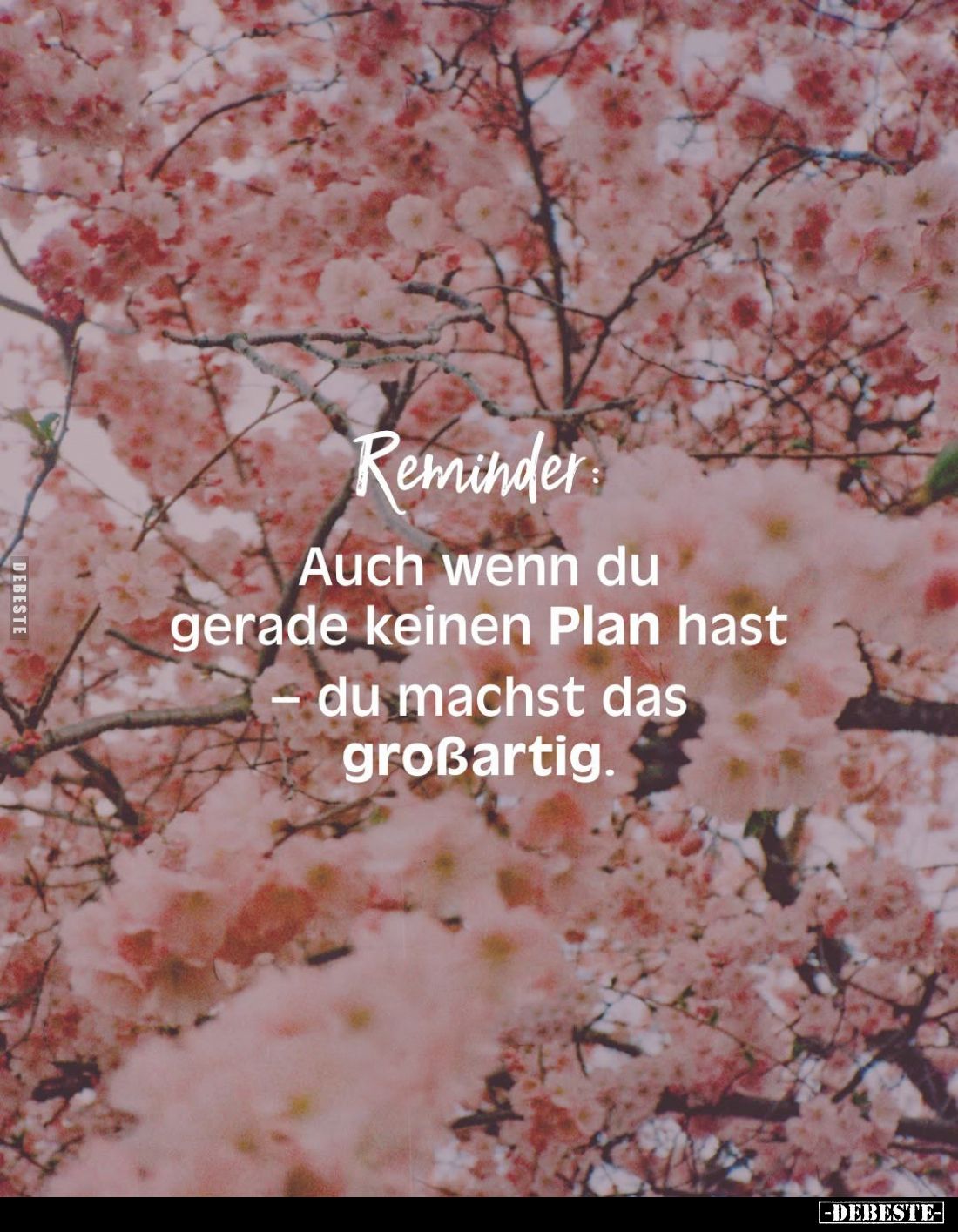 Reminder:
Auch wenn du gerade keinen Plan hast du machst das großartig.