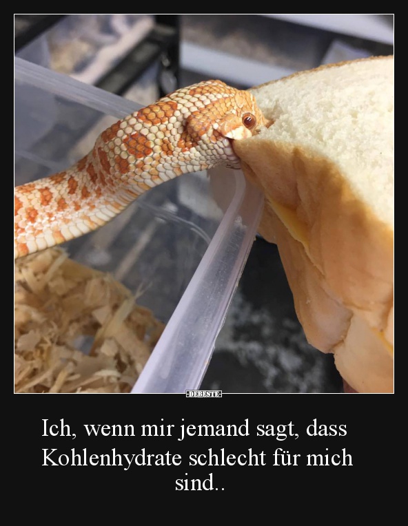 Ich, wenn mir jemand sagt, dass Kohlenhydrate schlecht.. - Lustige Bilder | DEBESTE.de