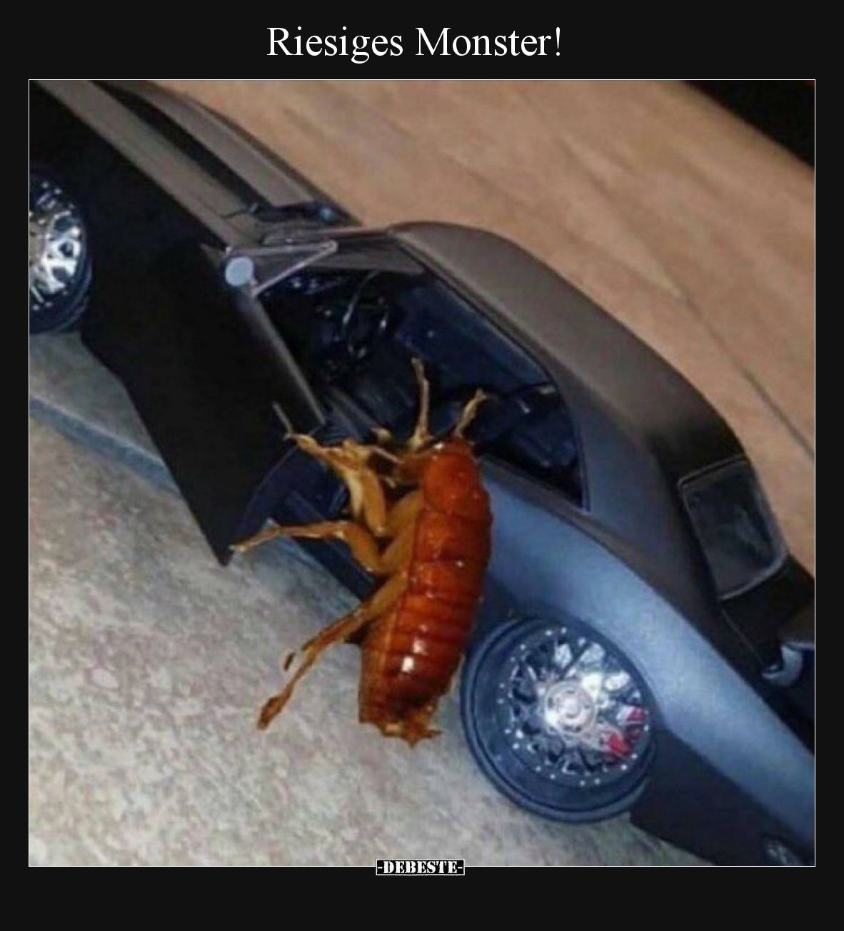 Riesiges Monster!