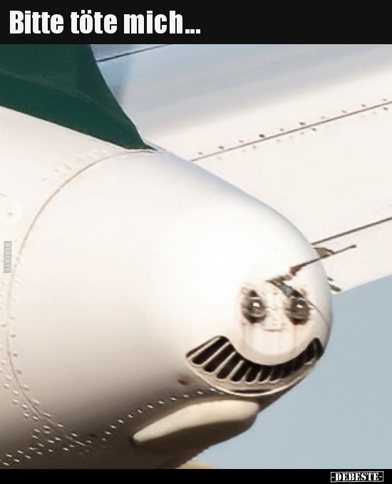 Bitte töte mich...